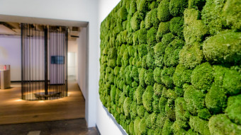 Green wall