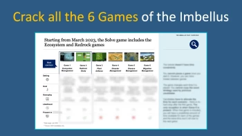 McKinsey Solve Game Simulation Package