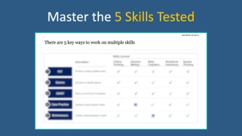 McKinsey Solve Game Simulation Package